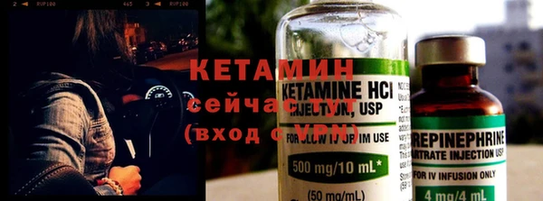 прущие грибы Вяземский
