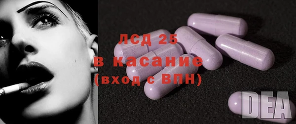 прущие грибы Вяземский