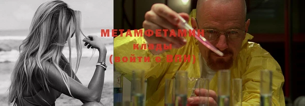 прущие грибы Вяземский