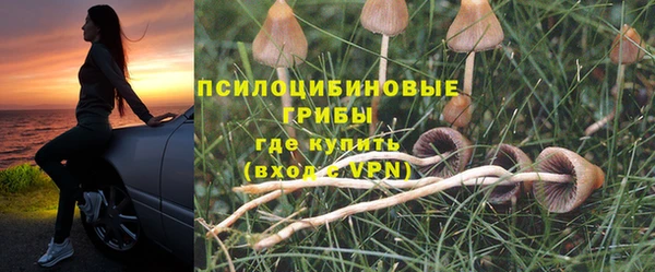 амф Вязники