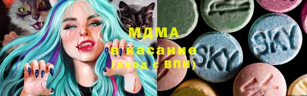 прущие грибы Вяземский