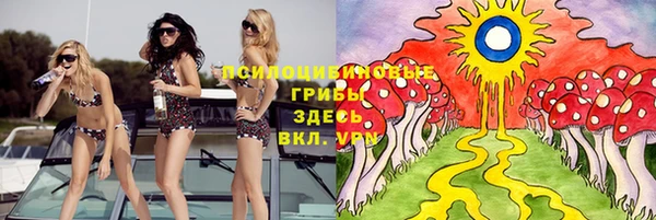 амф Вязники