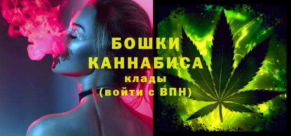 прущие грибы Вяземский